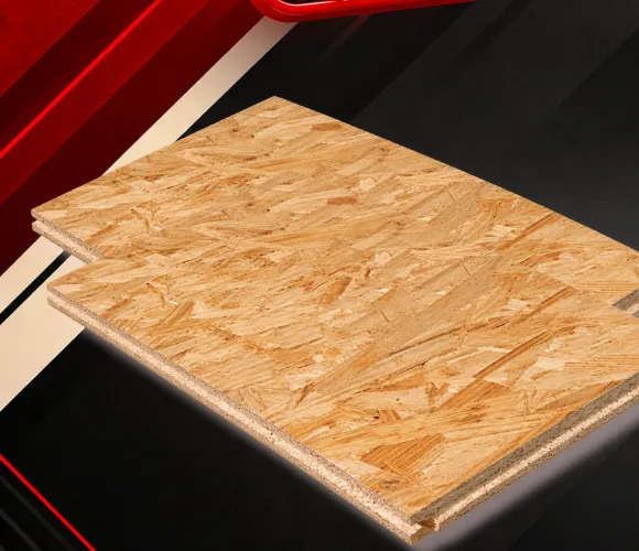 OSB Home Plus 11 mm LP